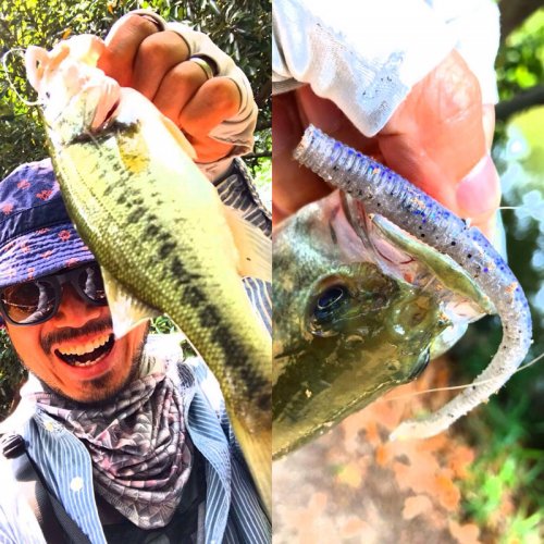 【HAMA EXCLUSIVE HAMA original COLOR!】4″ KUT TAIL WORM Gary Yamamoto