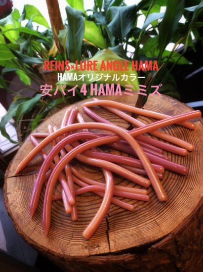 【HAMA EXCLUSIVE HAMA original COLORS!】Reins Swamp Jr. reins