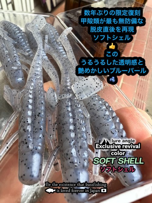 【HAMA EXCLUSIVE HAMA original COLORS!】EBI SHAD 4" Valley Hillの