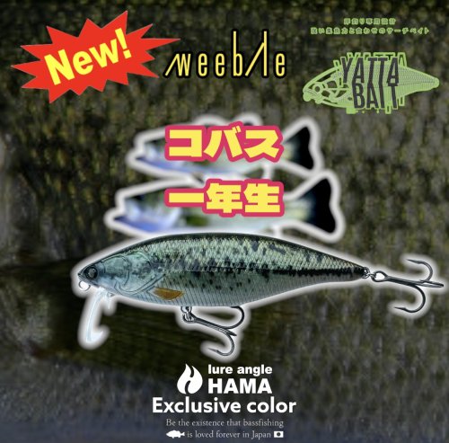 【Scheduled arrival October-November】HAMA original colors! YATABAITE Weeble